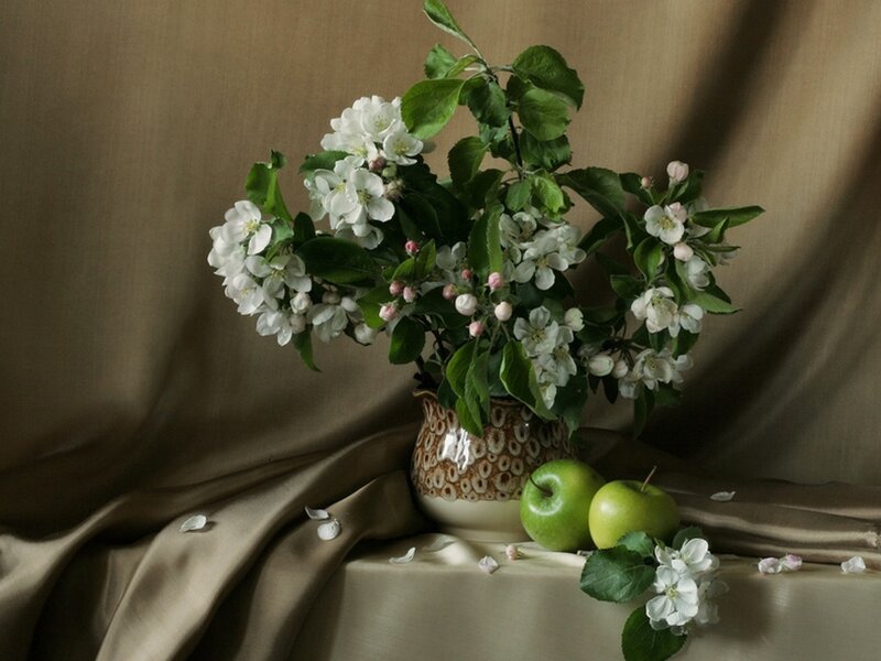 Apple Blossoms in Vase — Brown