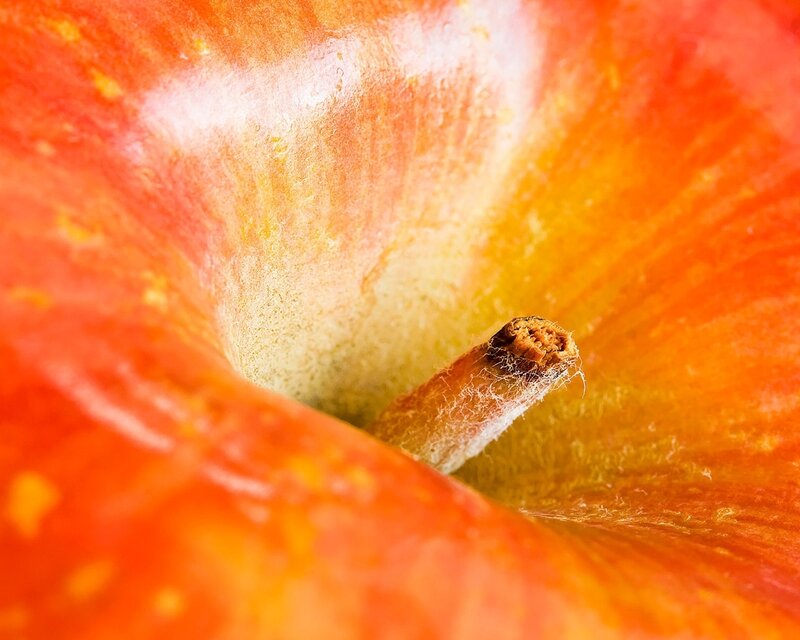 Apple Core Interior — Red
