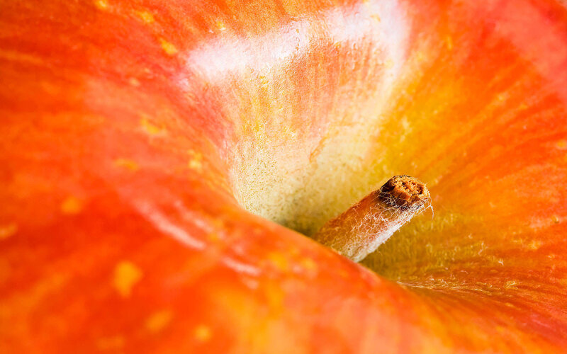Apple Core Interior