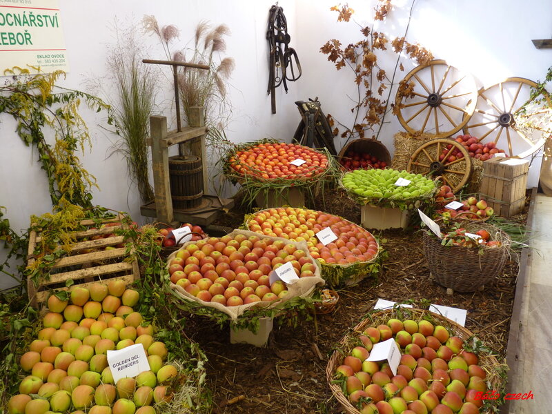 Apple Display at Market