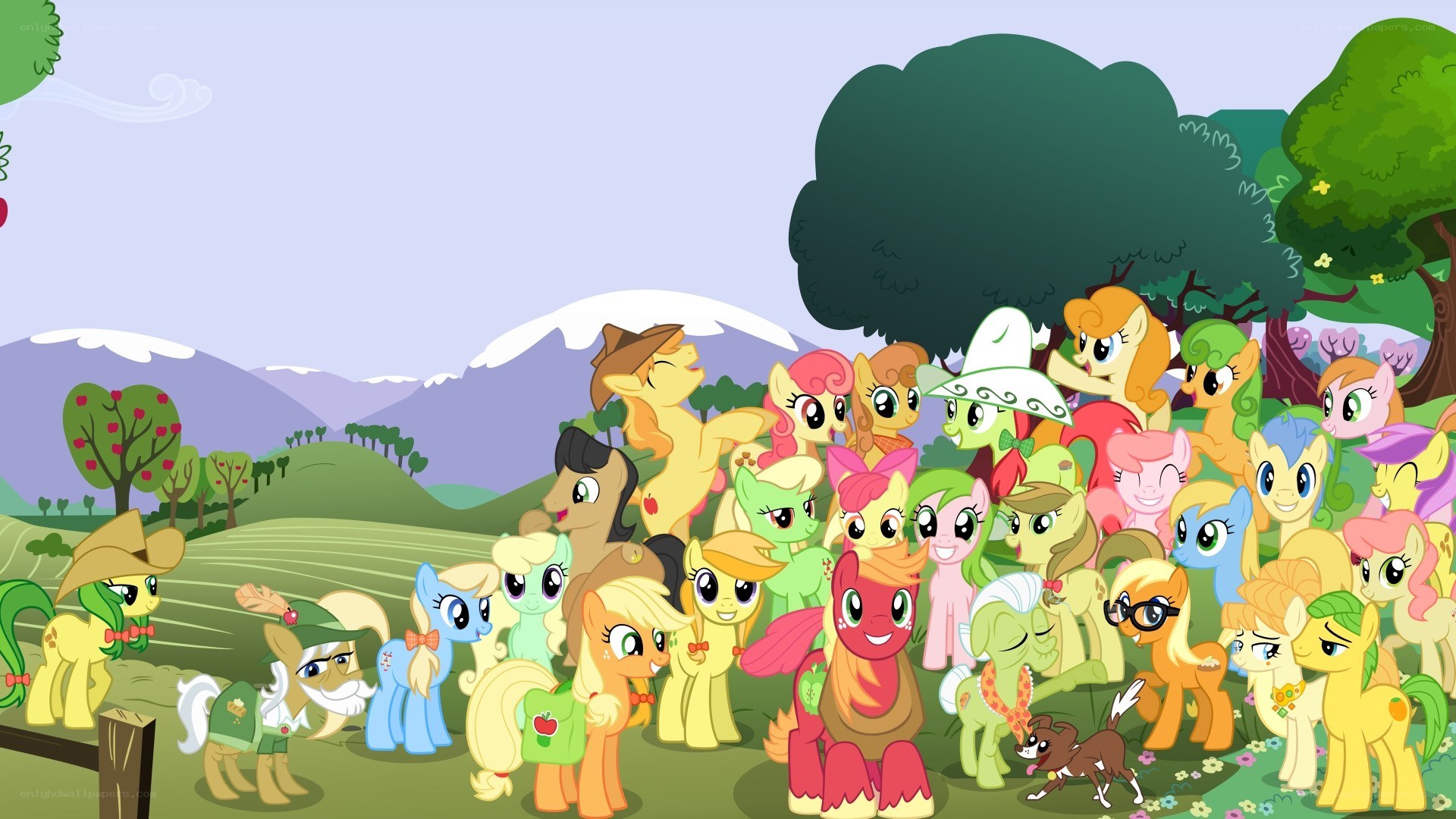 Apple family gathering