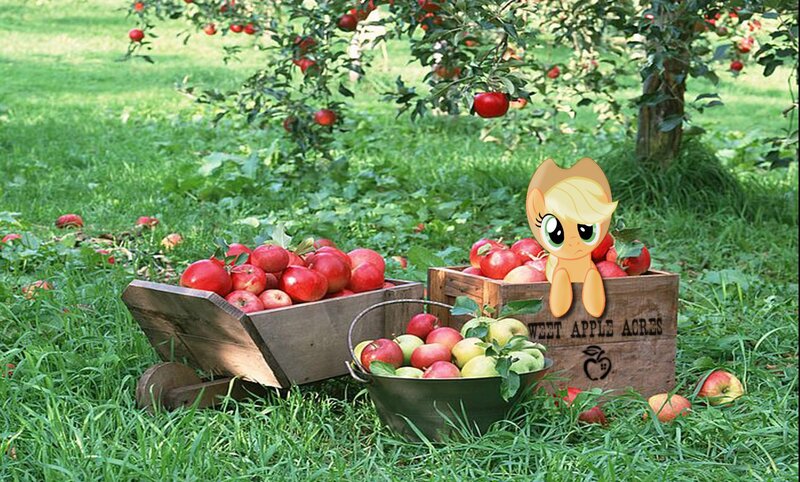 Apple harvest with cartoon pony