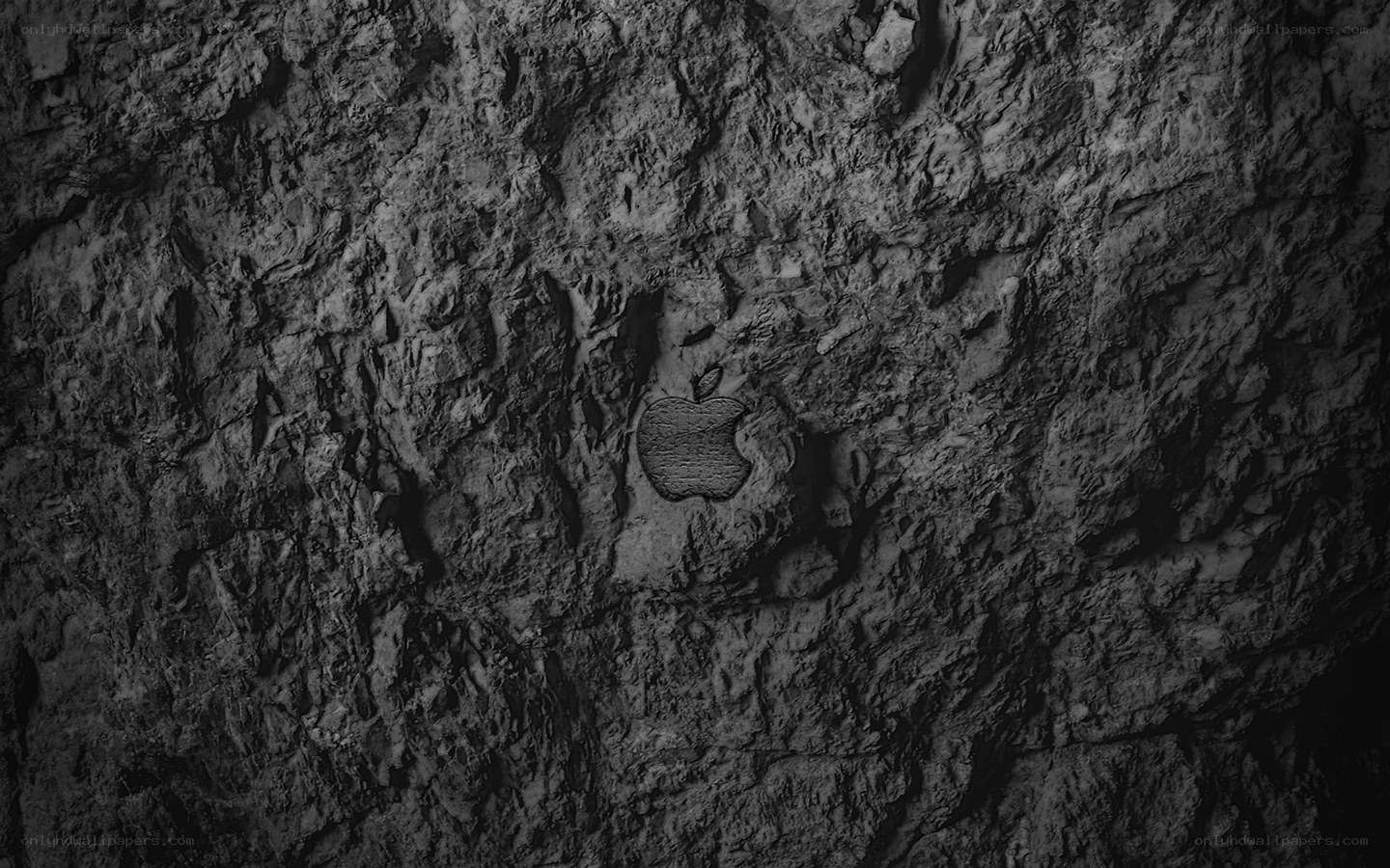 Apple logo carved in stone