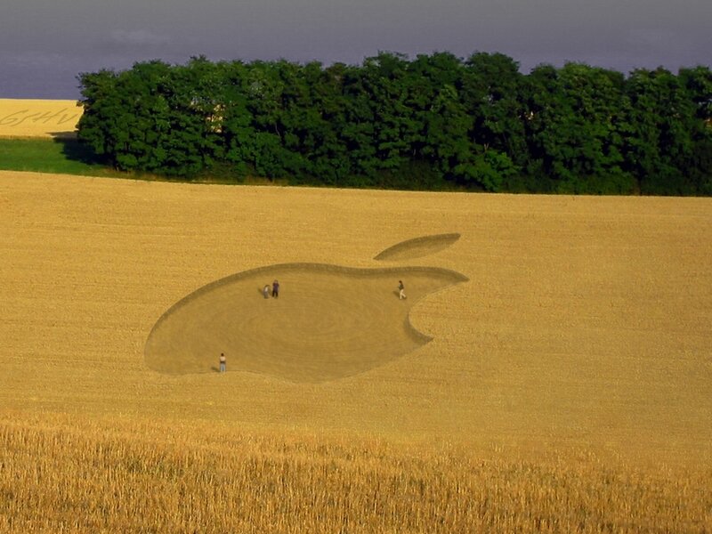 Apple logo in a wheat field