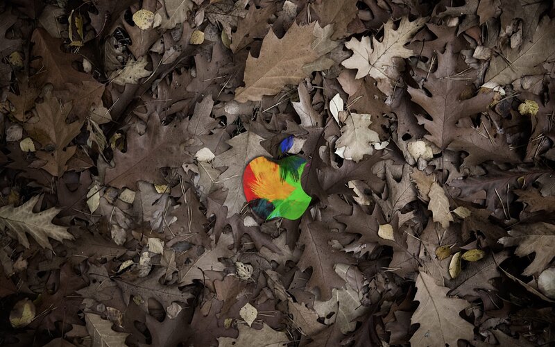Apple logo in autumn leaves