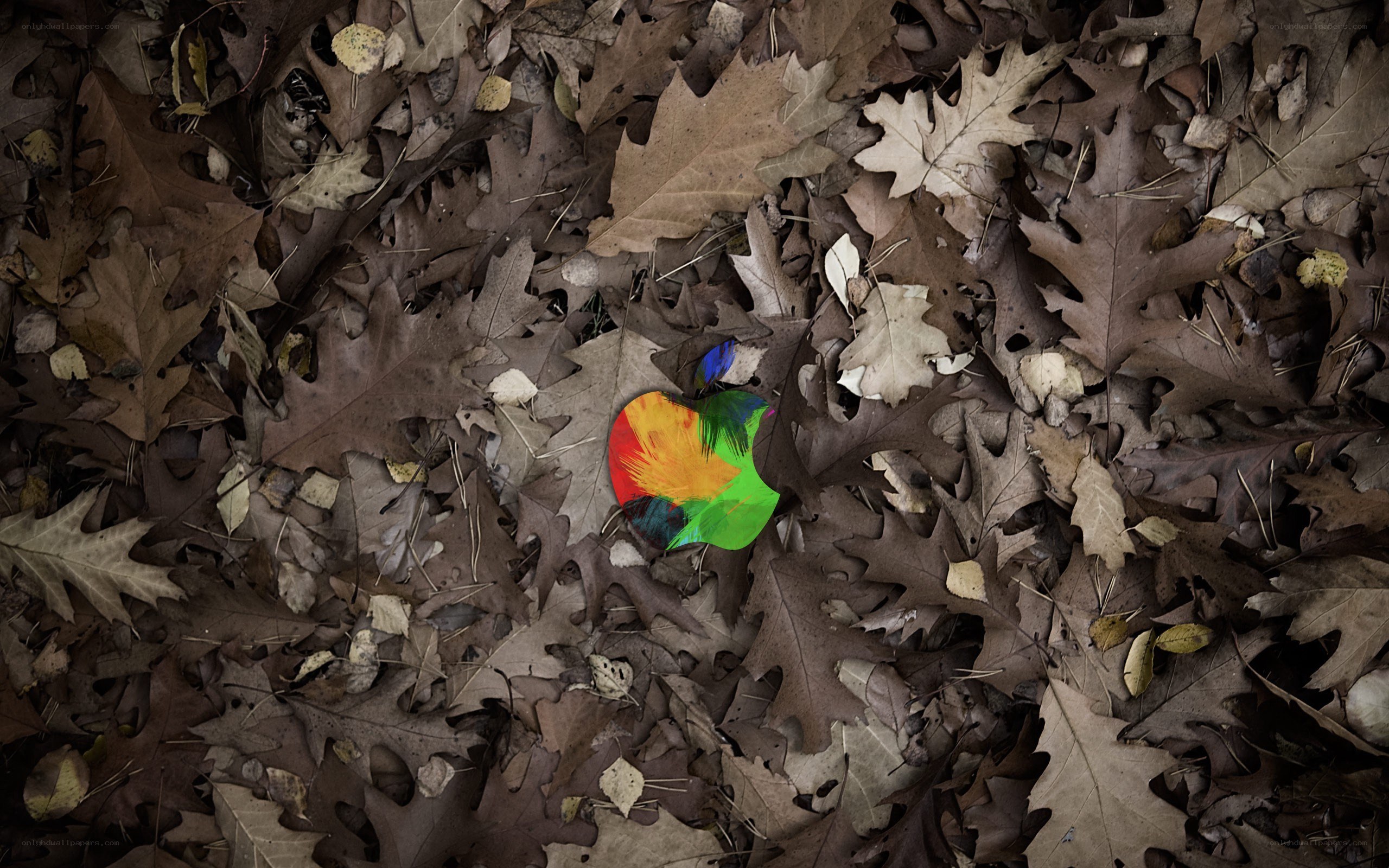 Apple logo in autumn leaves