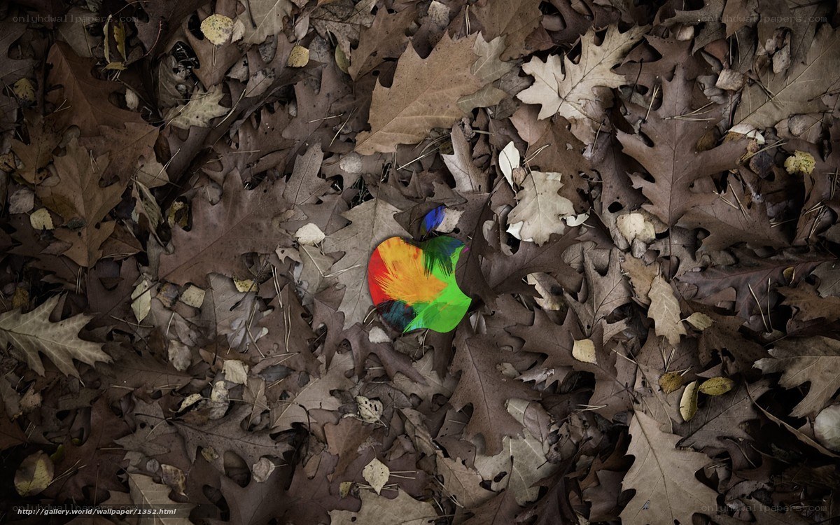 Apple logo in autumn leaves