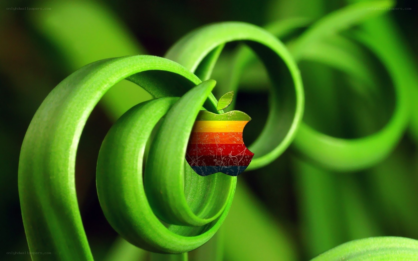 Apple logo in green spiral