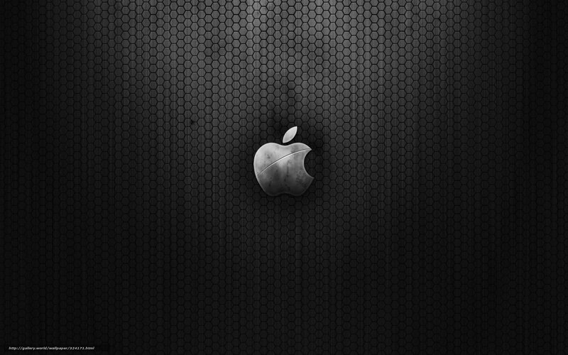 Apple Logo on Black Mesh