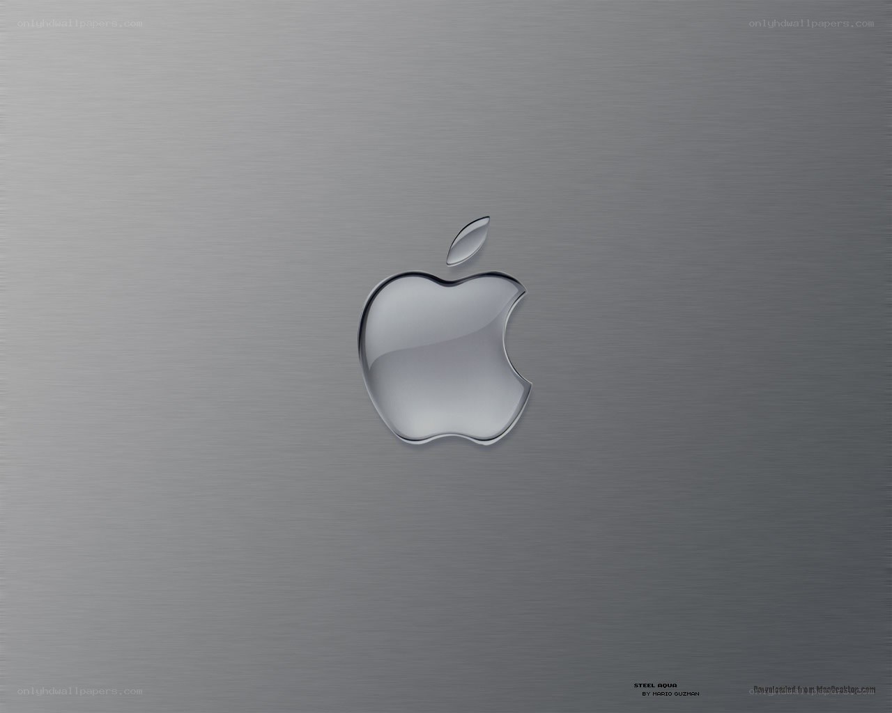 Apple logo on brushed metal