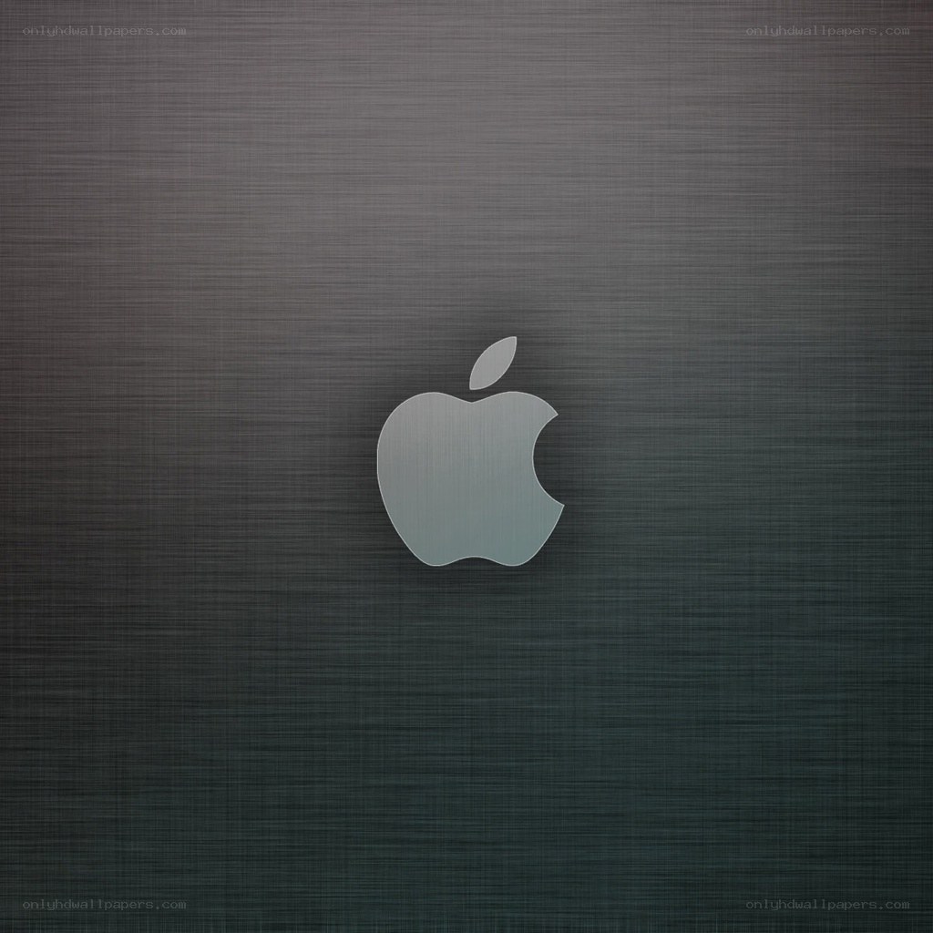 Apple logo on brushed metal