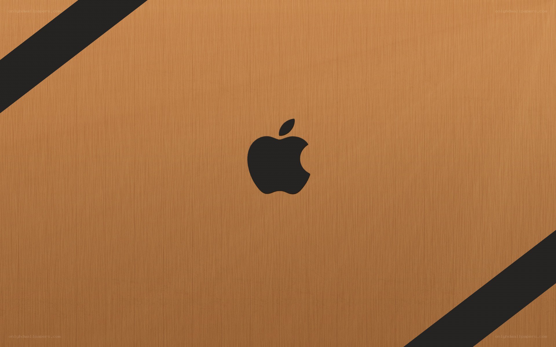 Apple logo on brushed metal