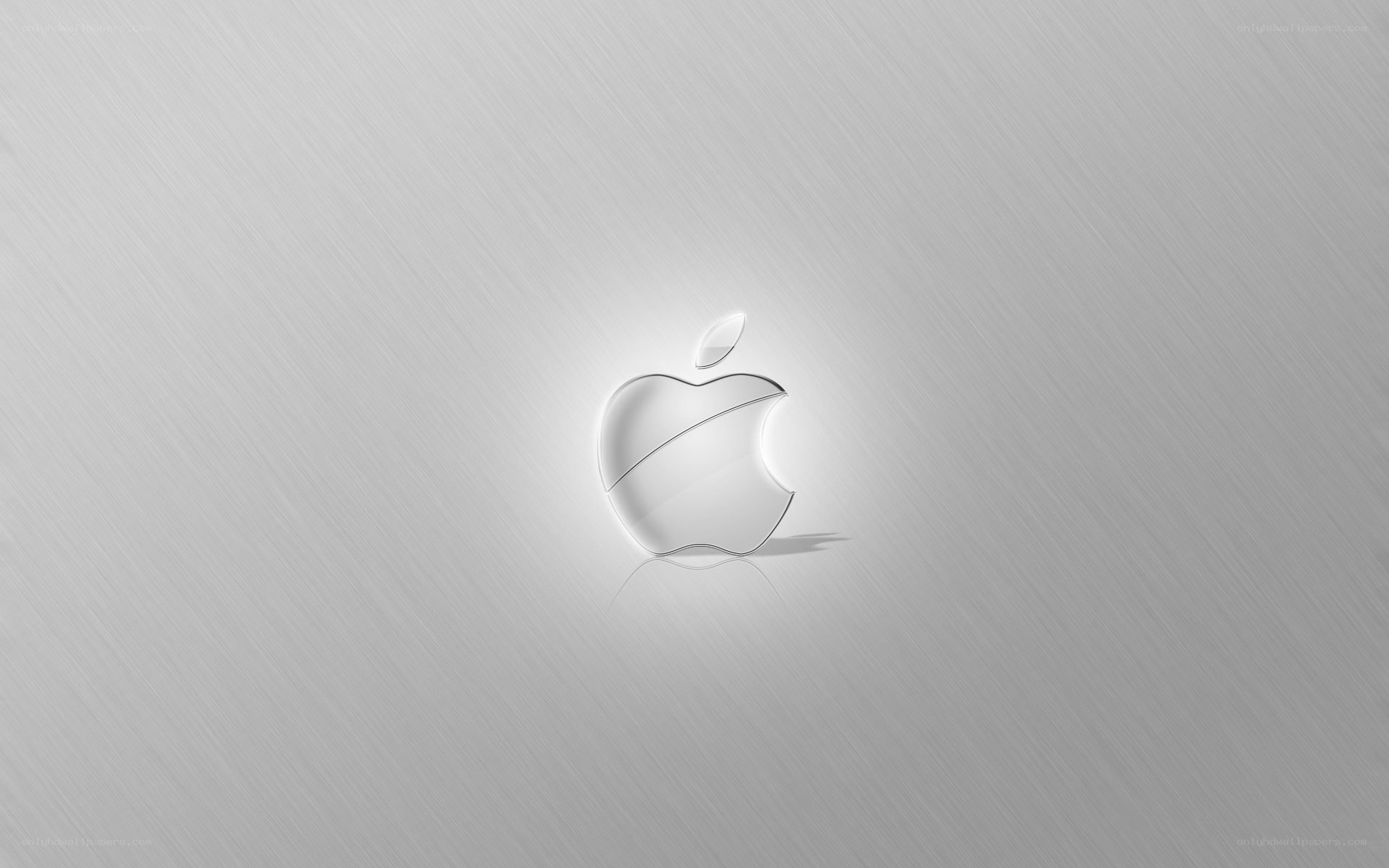 Apple logo on brushed metal