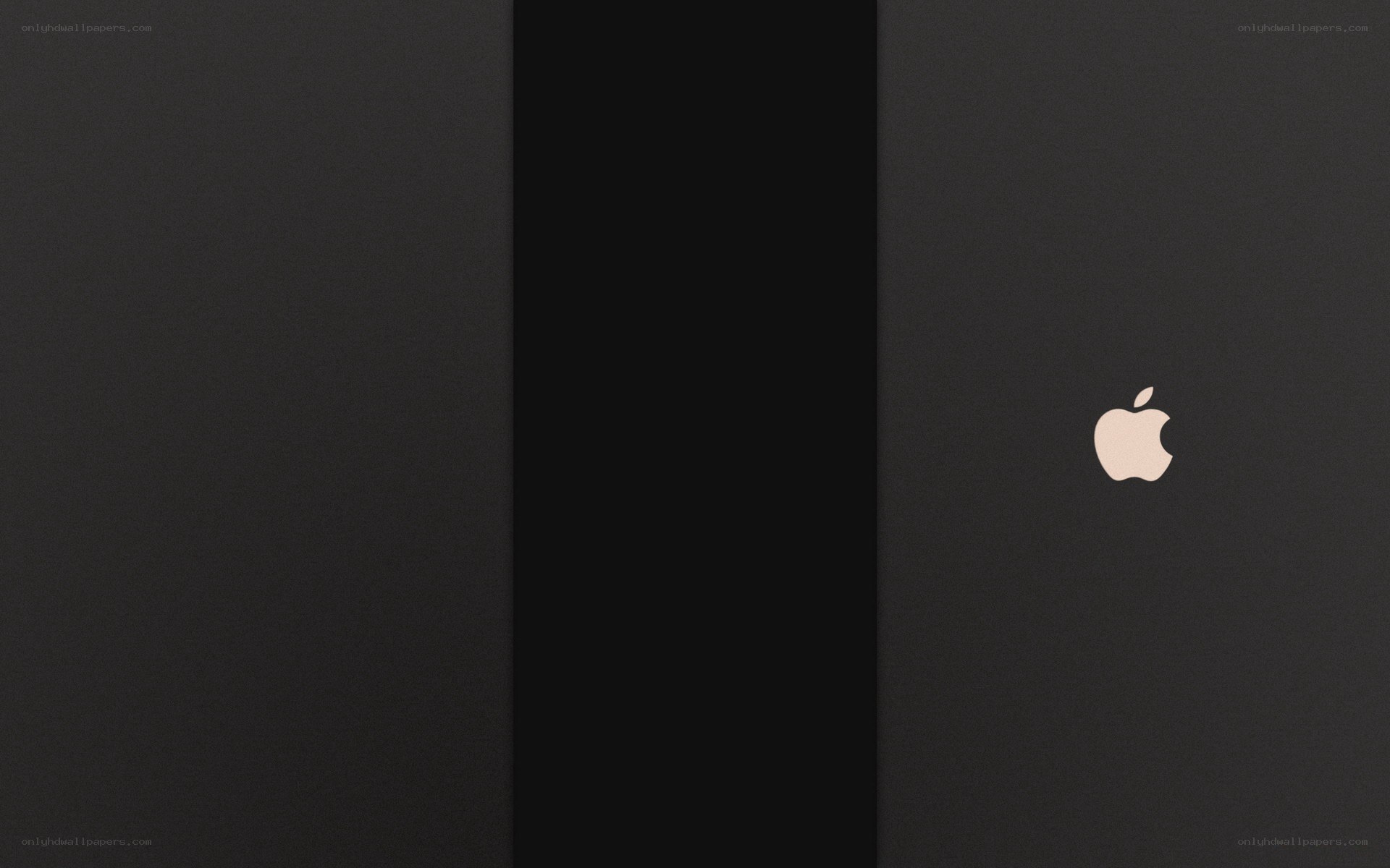 Apple logo on dark surface