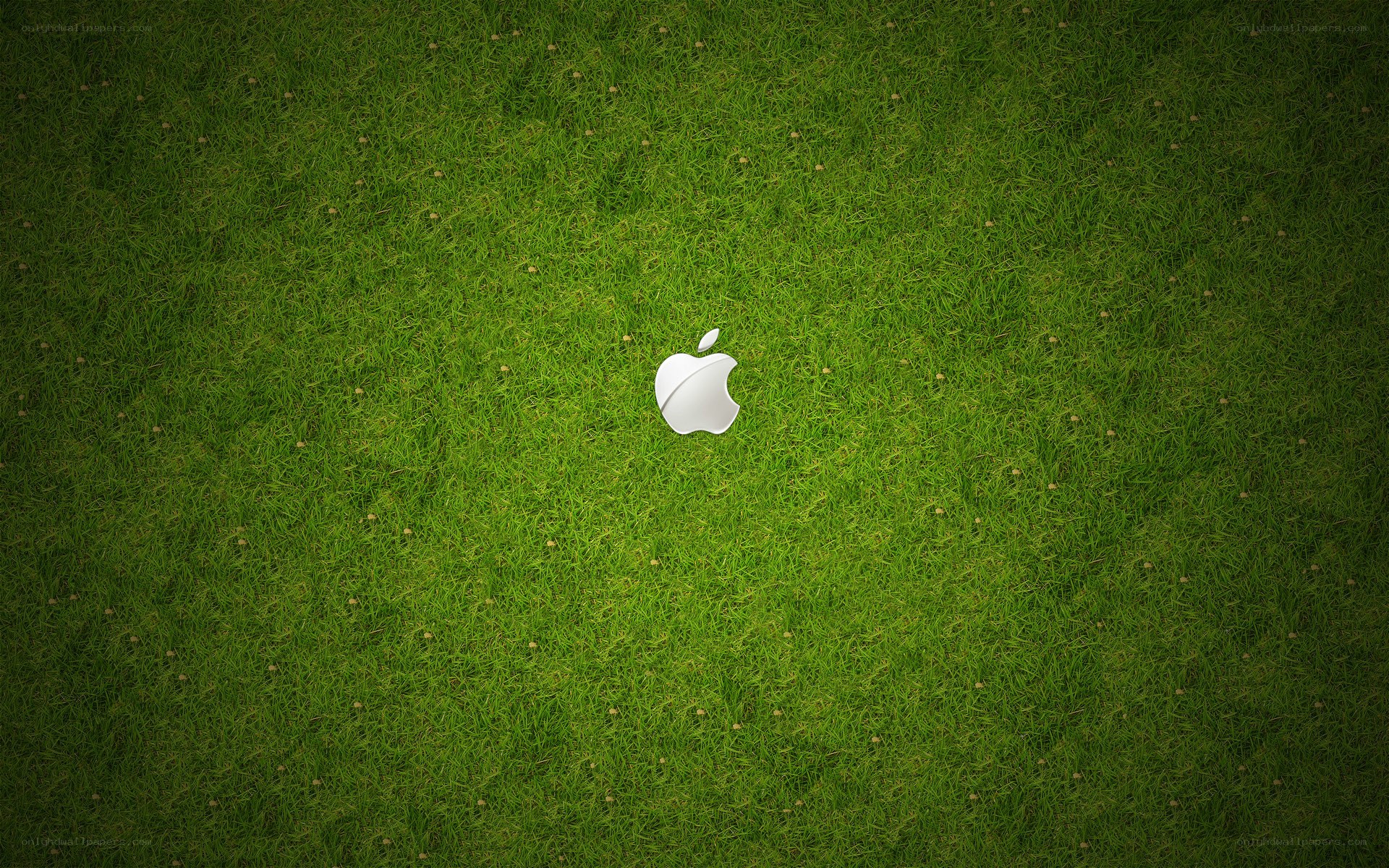 Apple logo on grass