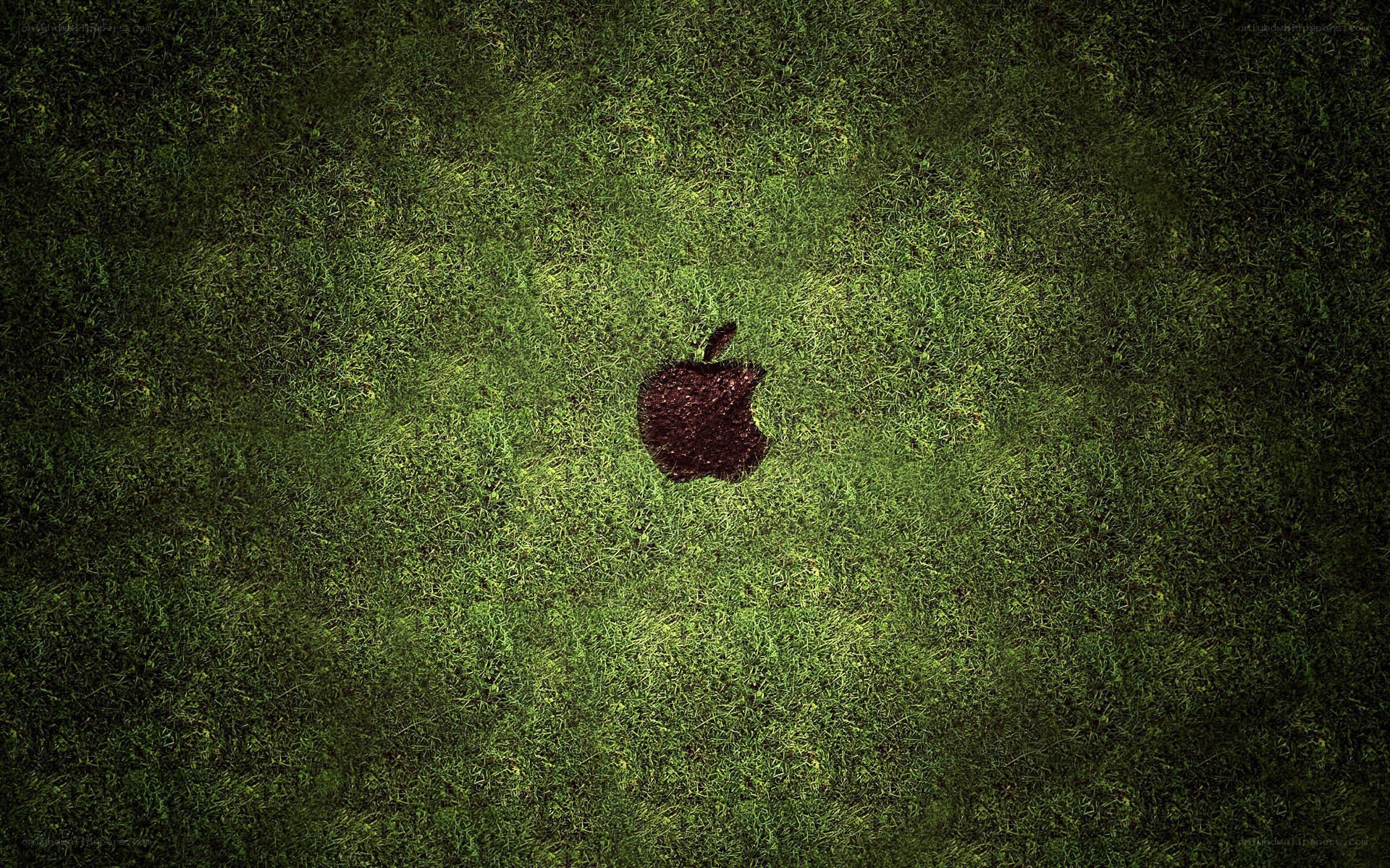 Apple logo on grass