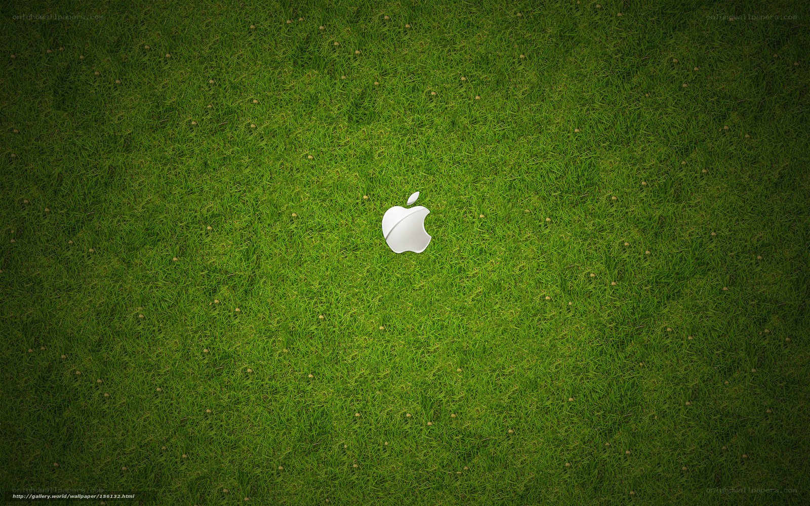 Apple logo on grass