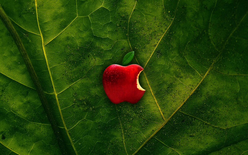 Apple logo on green leaf