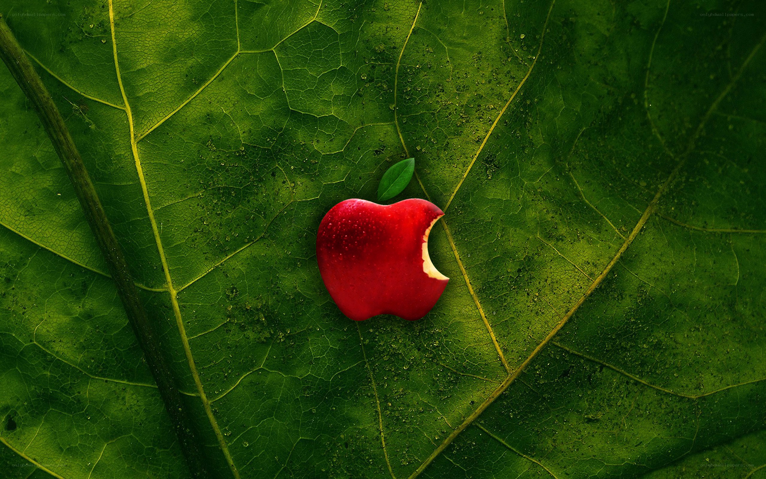 Apple logo on green leaf