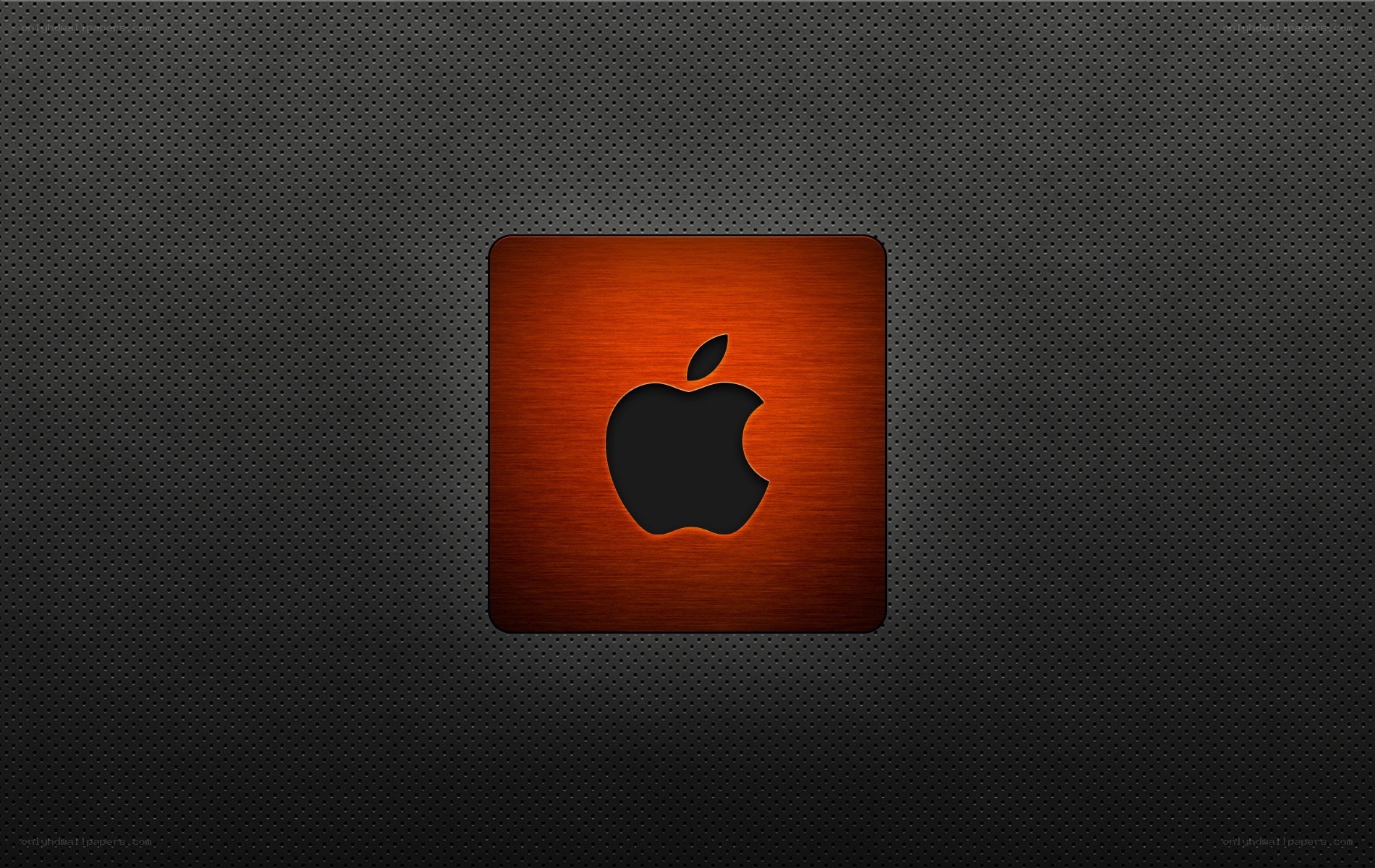 Apple logo on textured background