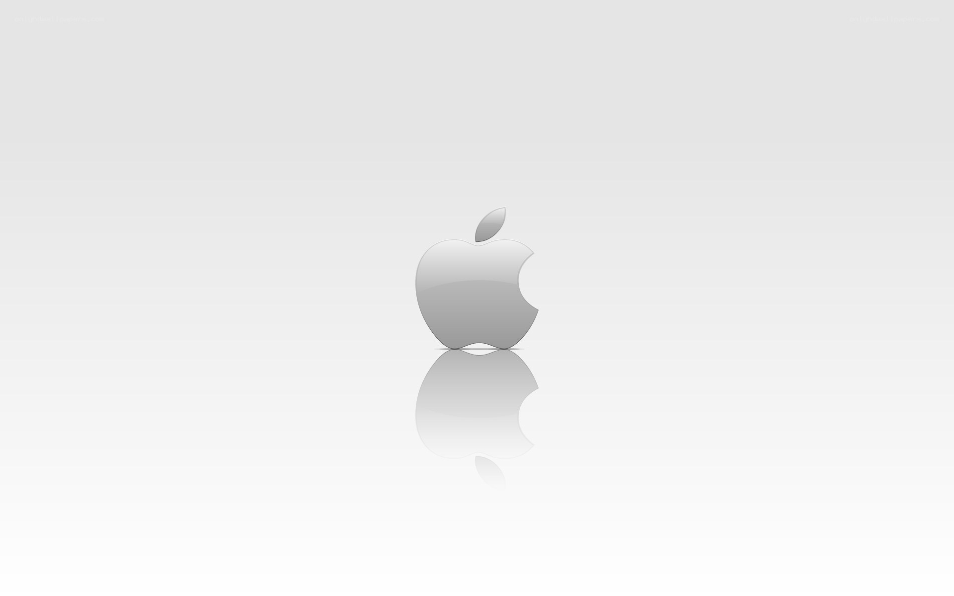 Apple logo on white background