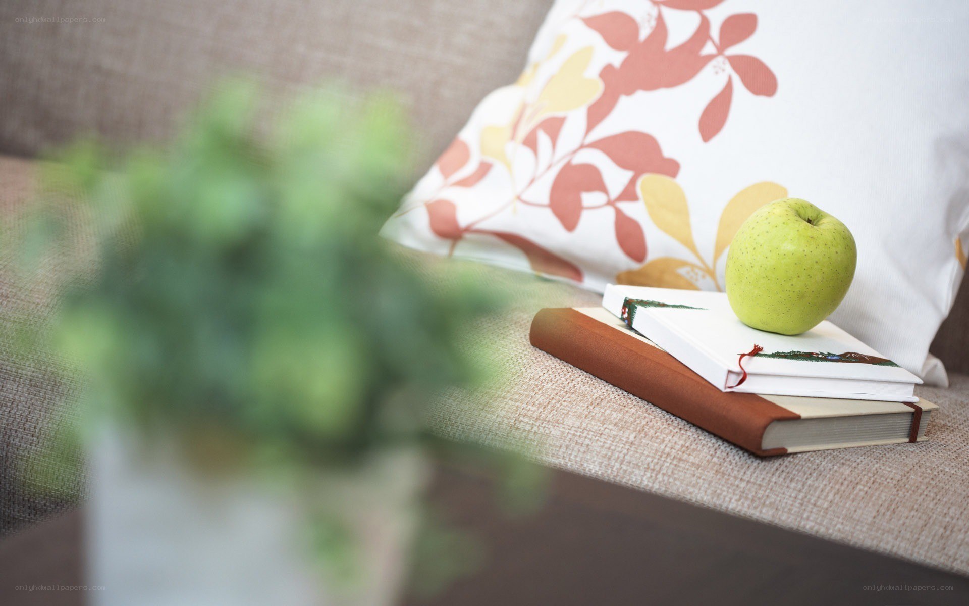 apple on books by pillow