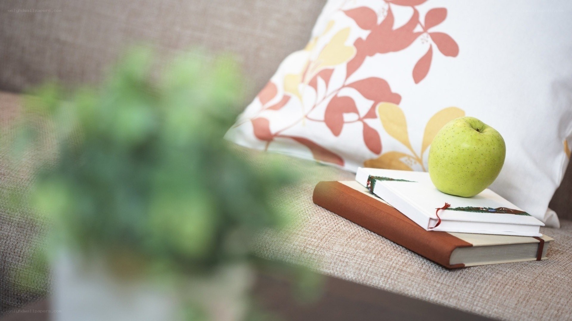 apple on books on couch