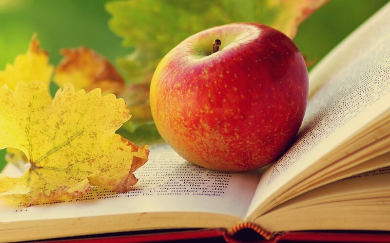 apple on open book with autumn leaves