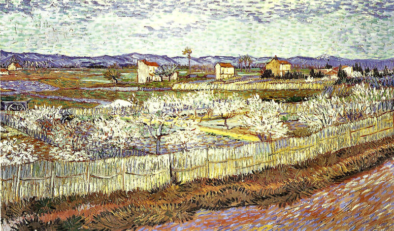 Apple Orchard in Bloom — White