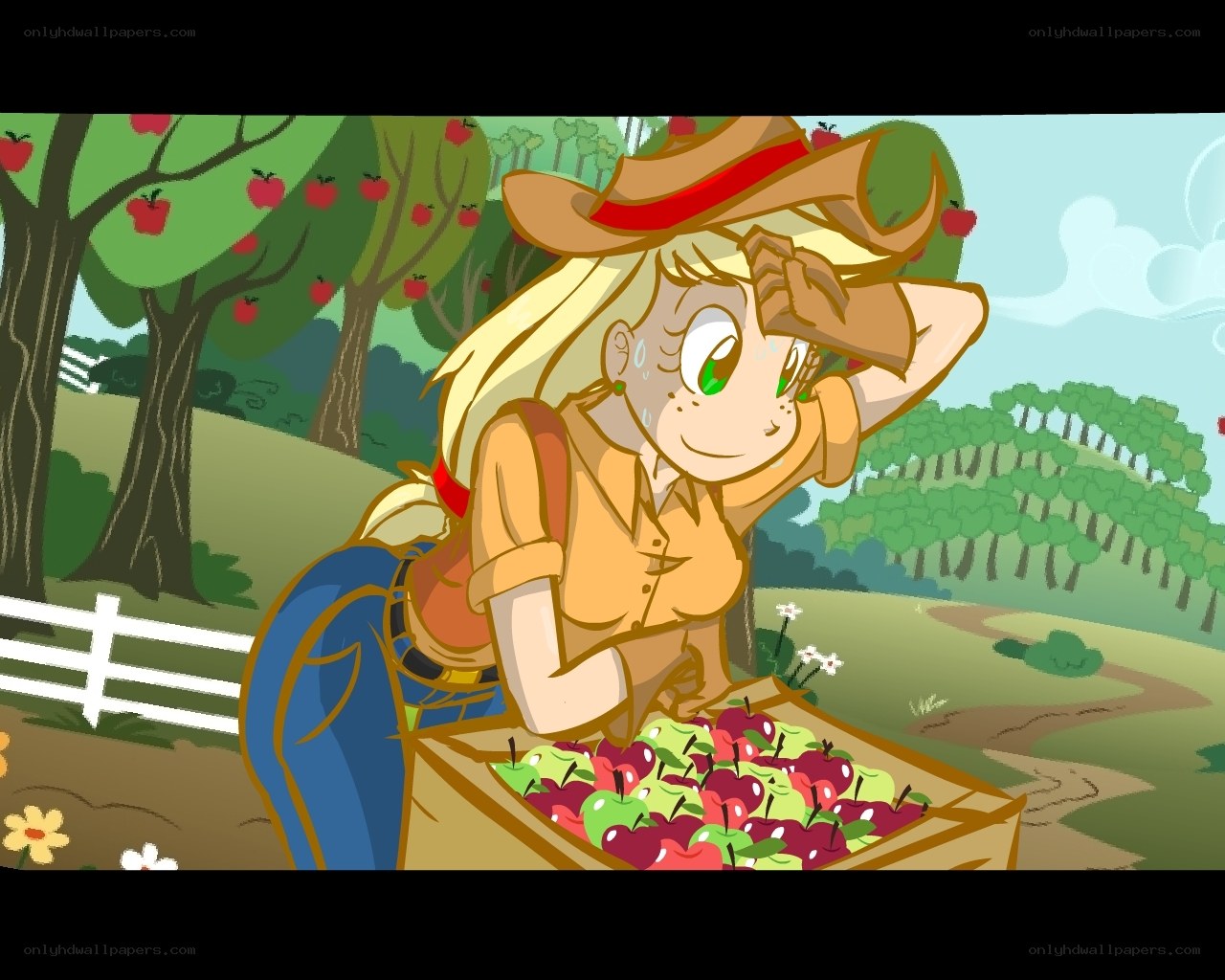 apple picking in the orchard