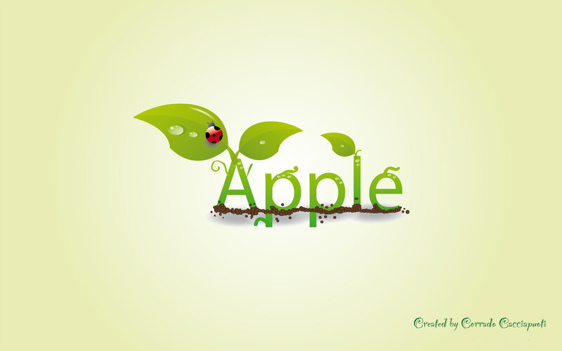 Apple Plant Sprout