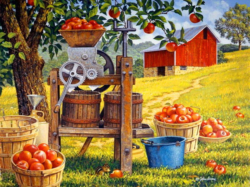 Apple Press in Orchard