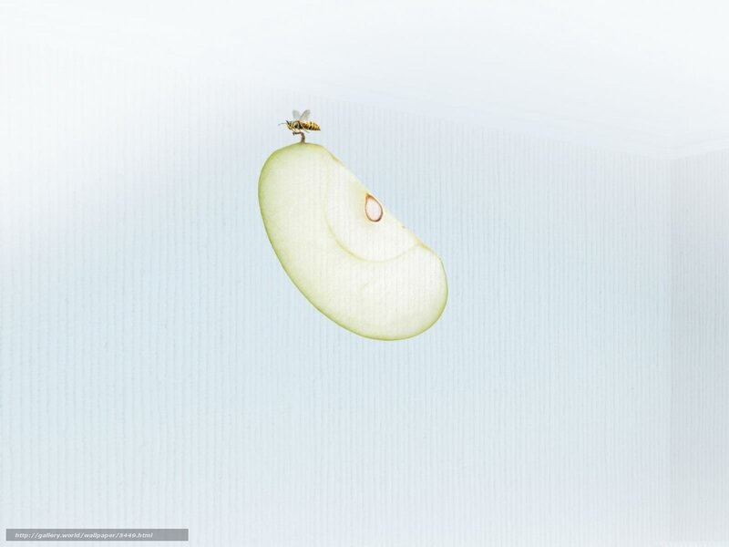 apple slice with bee