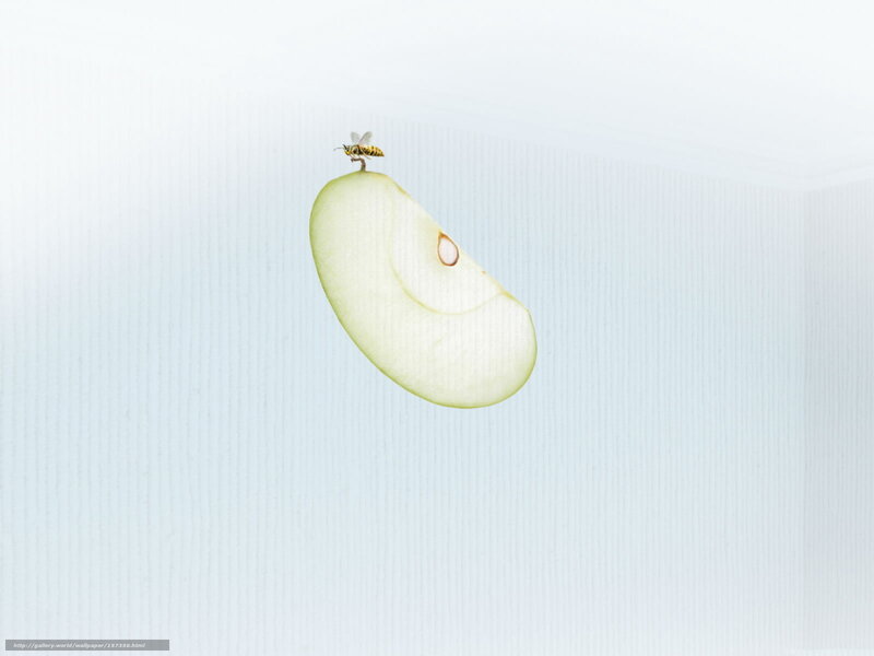 Apple Slice with Bee — White
