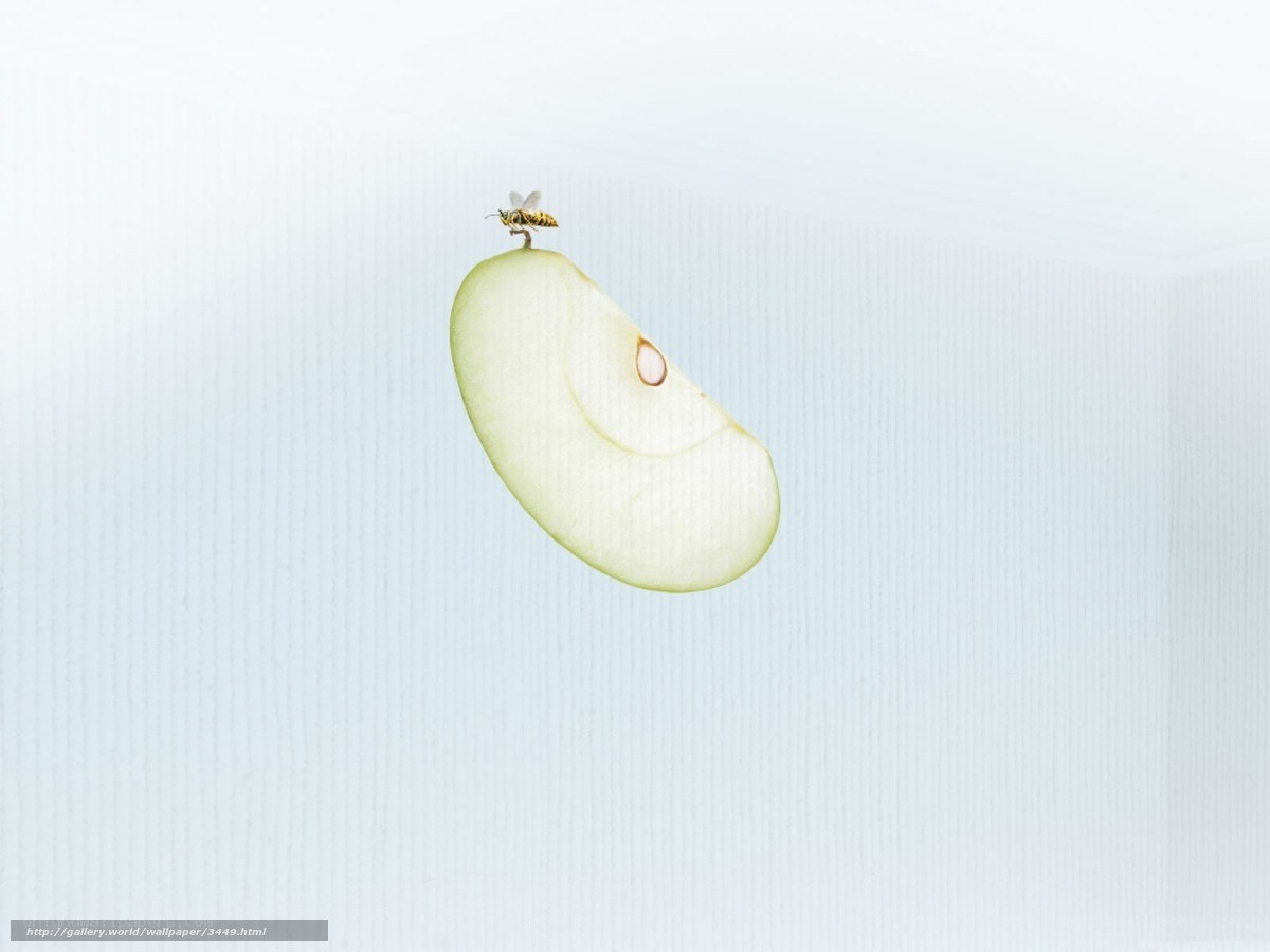 apple slice with bee