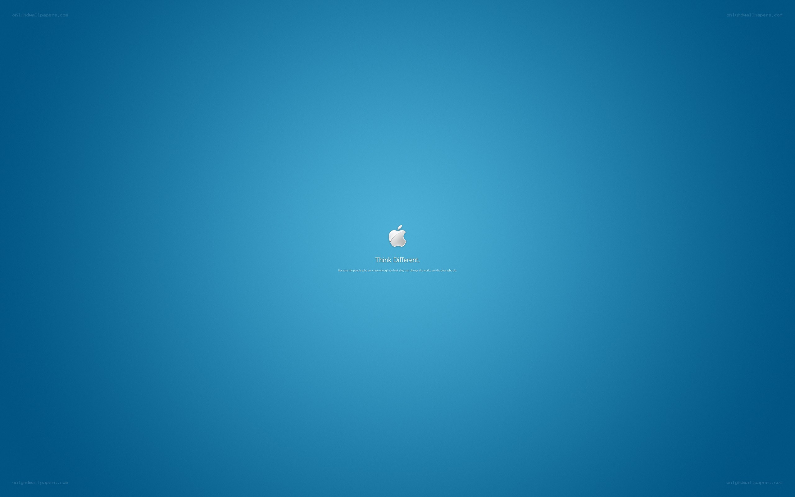 Apple startup screen