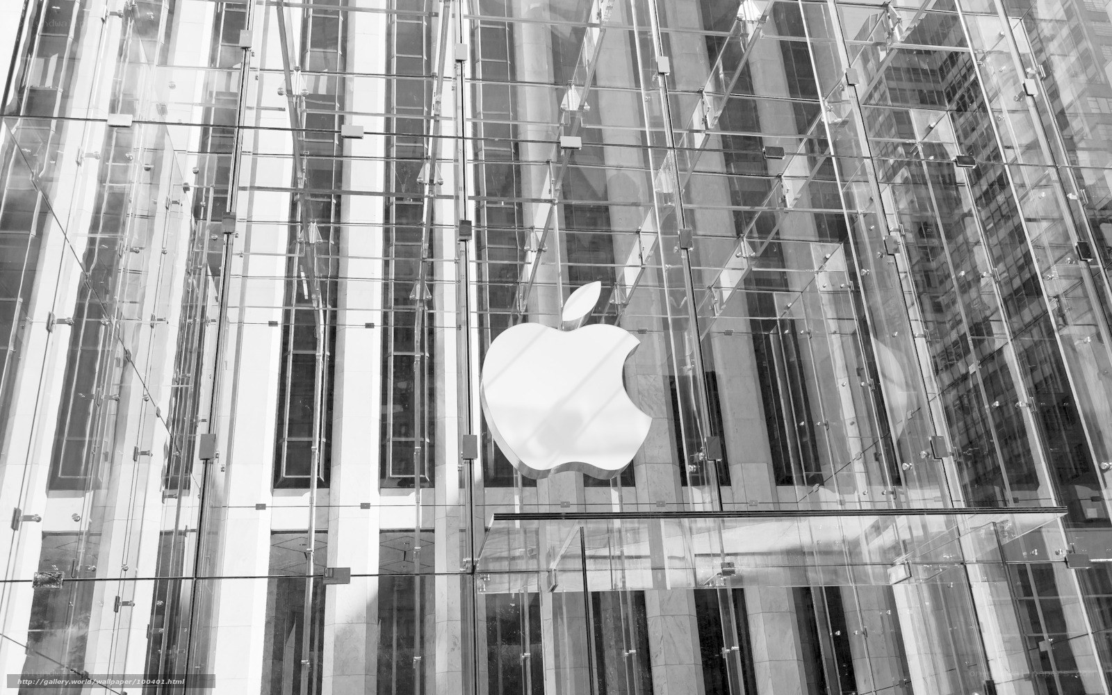 Apple Store glass facade