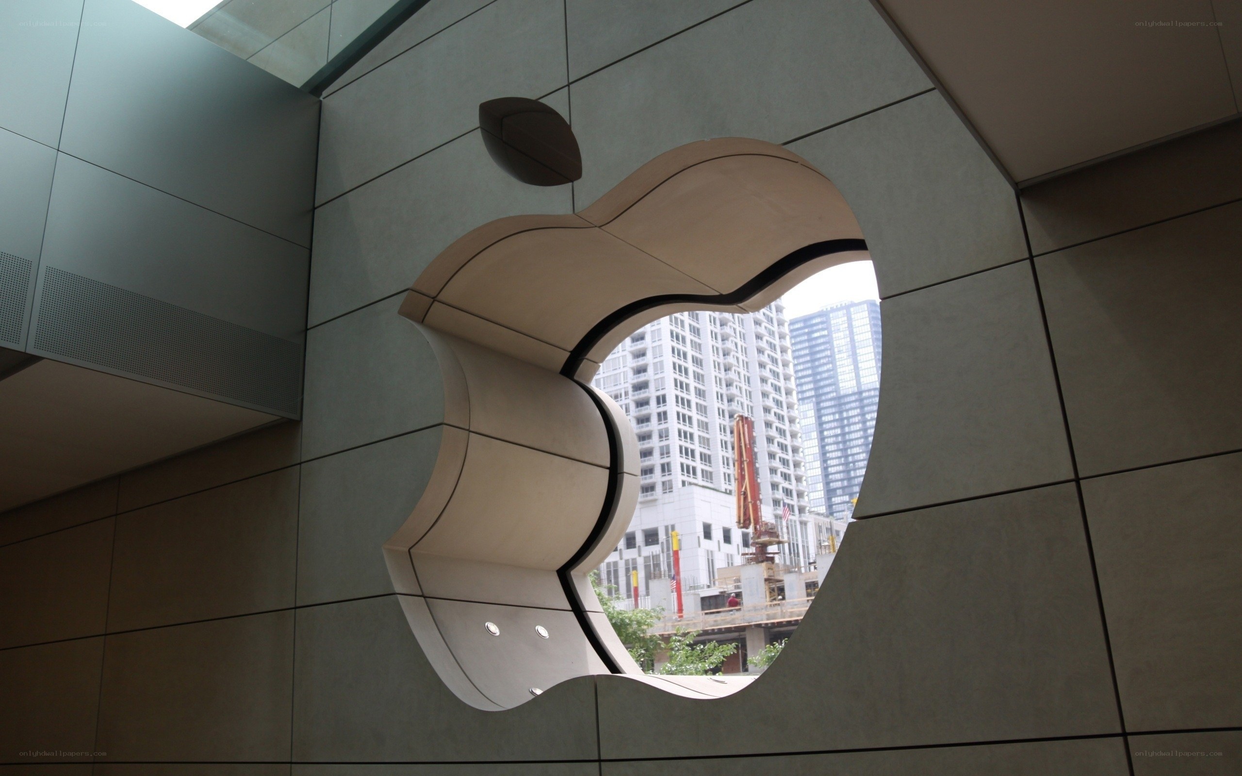 Apple Store logo window