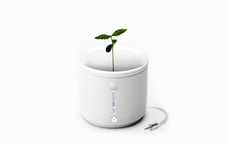 Apple-themed plant pot