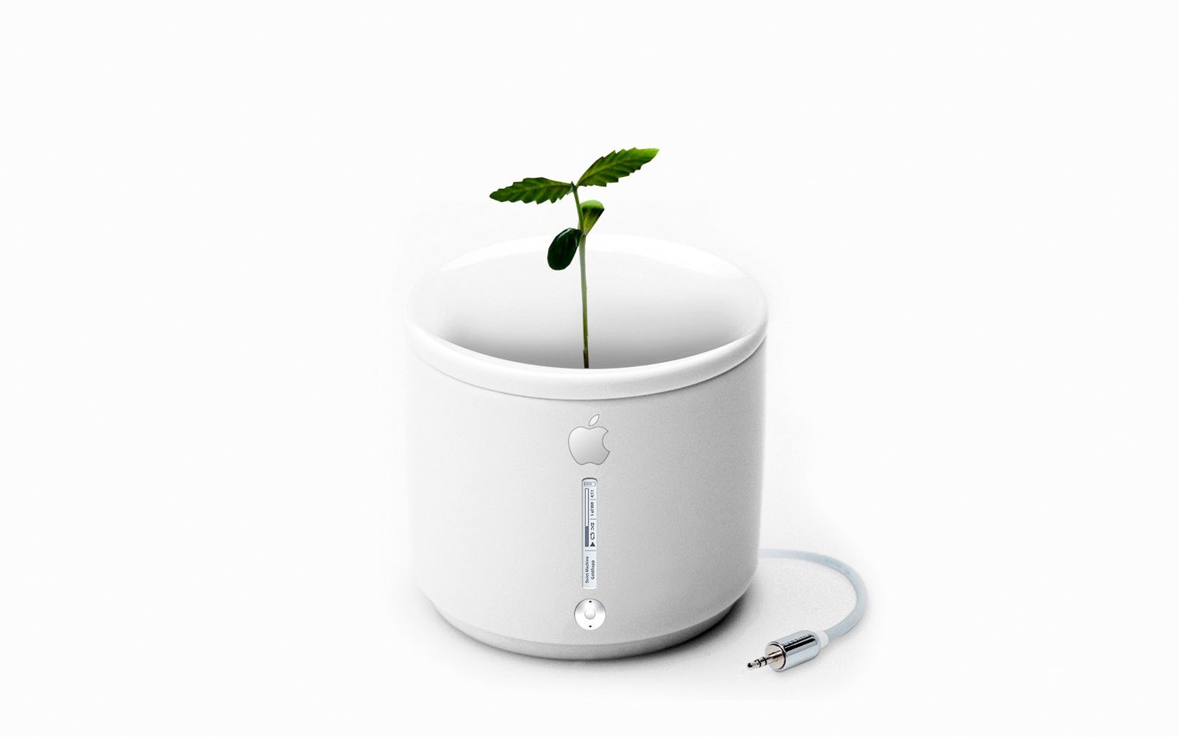 Apple-themed plant pot