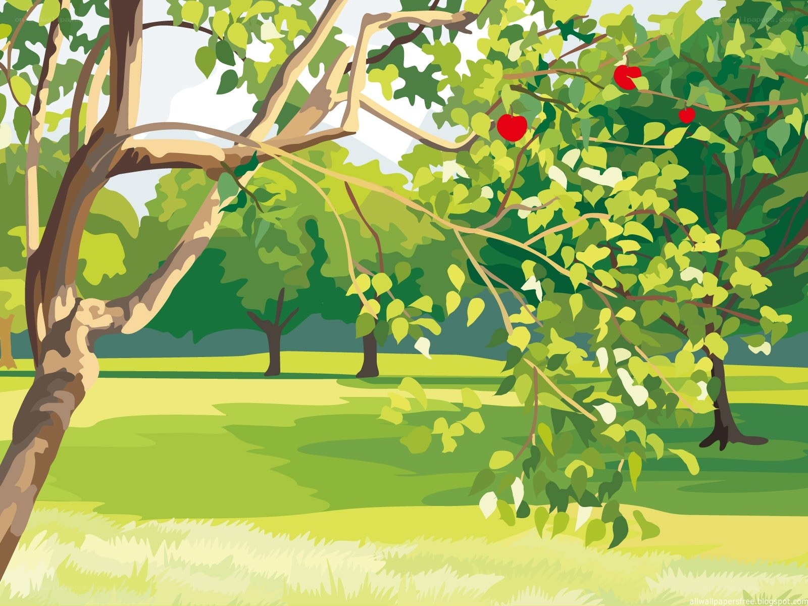 apple tree in a sunny park