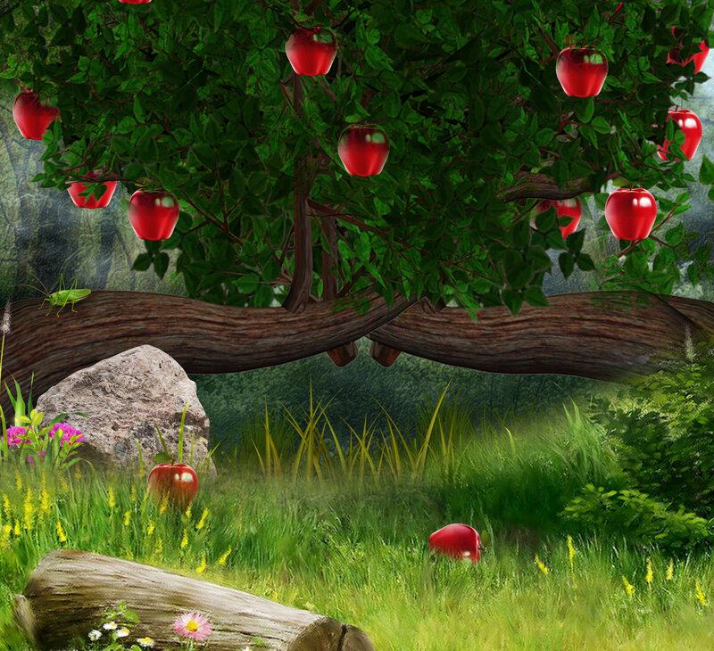 Apple Tree in Garden