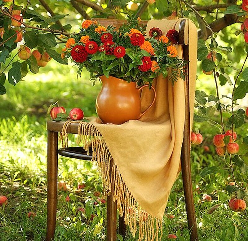 Apple Tree with Flowers — Green, Serene