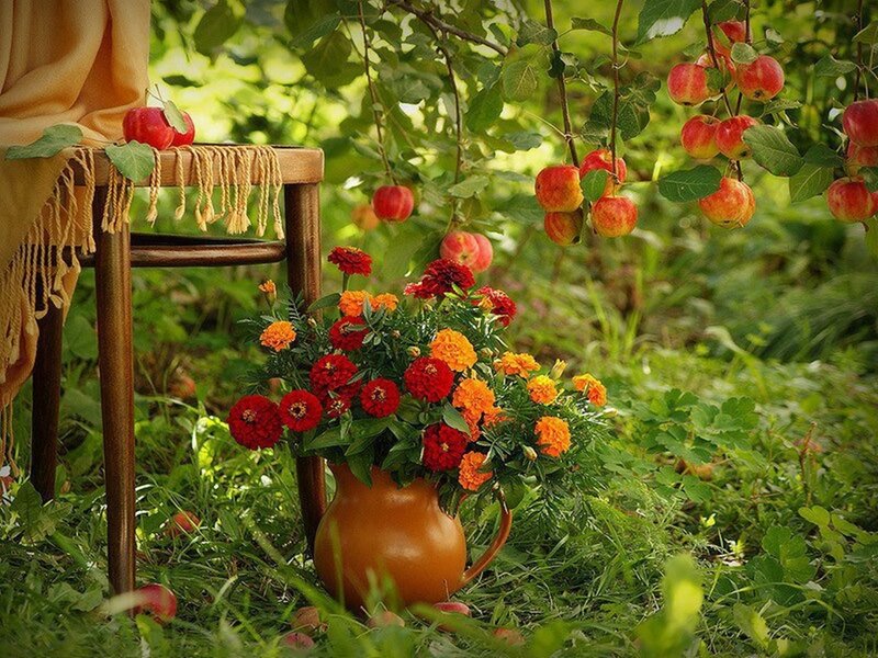 Apple Tree with Flowers — Green