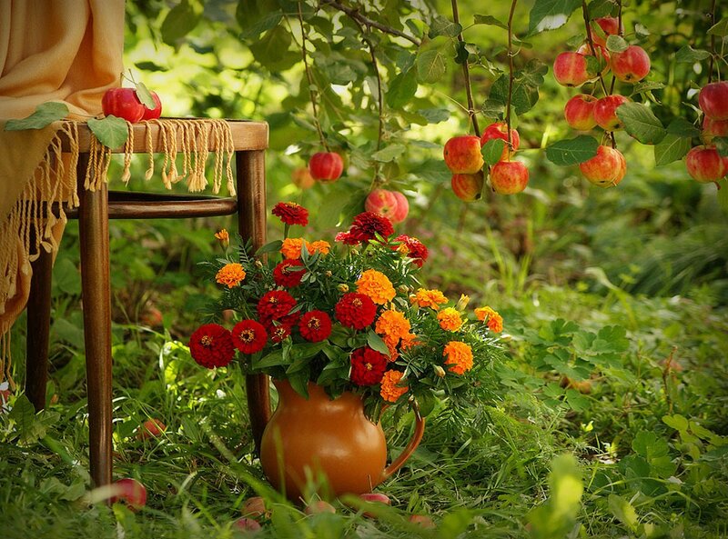 Apple Tree with Flowers