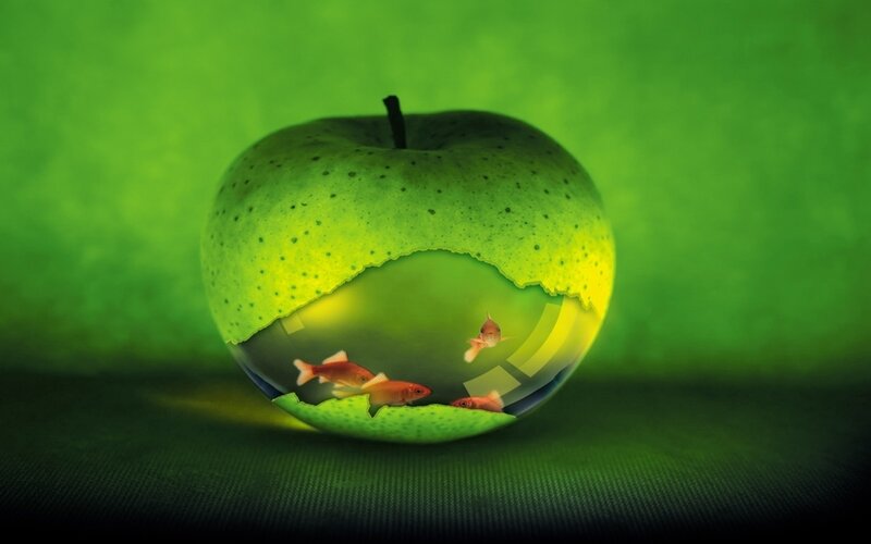 apple with fish inside