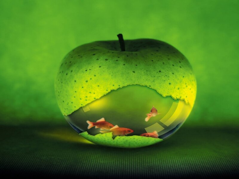Apple with Fish Inside — Green