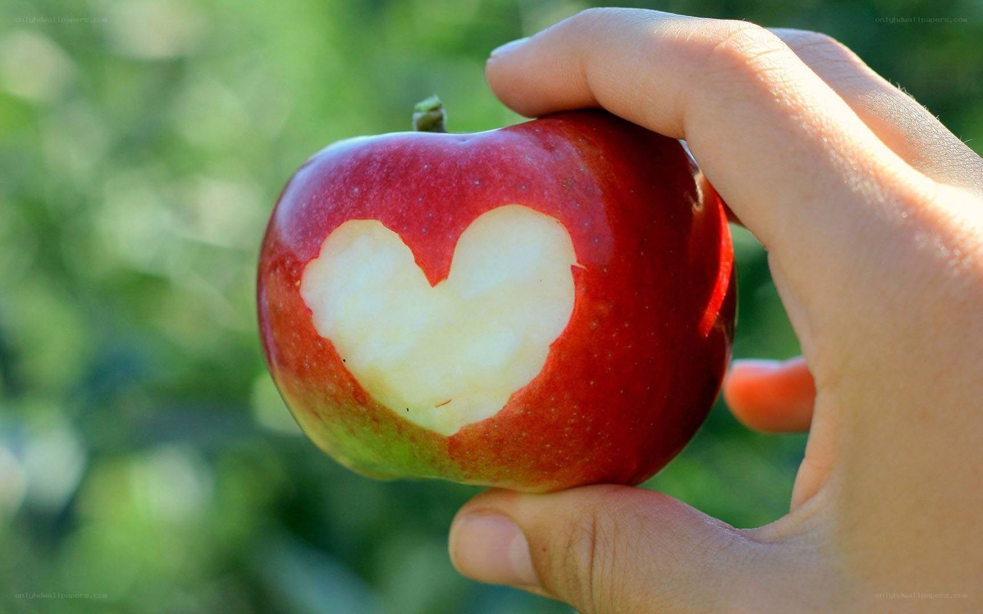 apple with heart carved in it