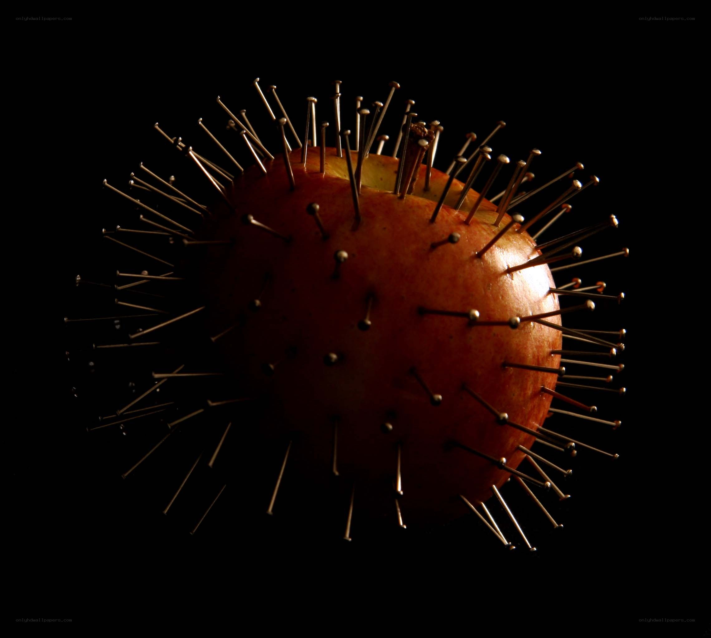 apple with pins on black