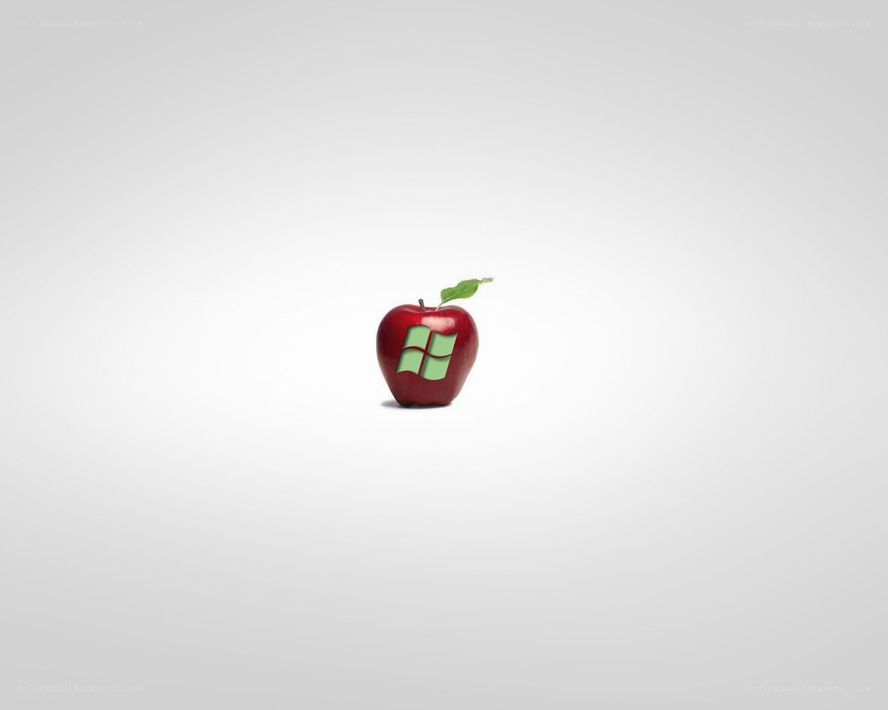 apple with windows logo